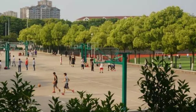 香港全年最全免费资料大全