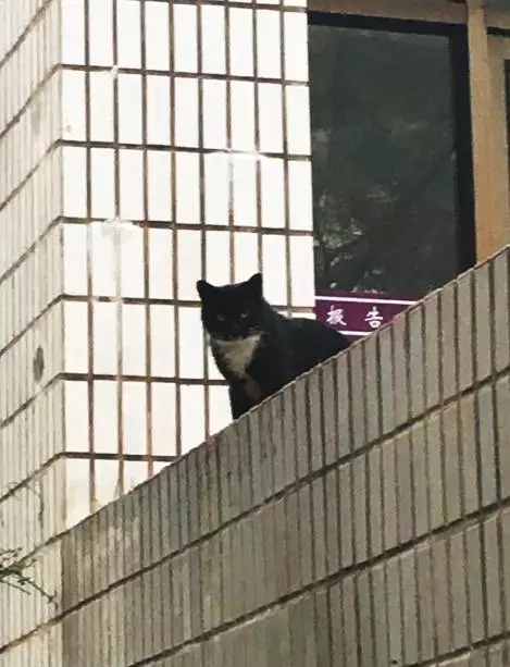 香港全年最全免费资料大全