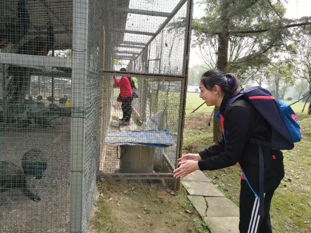 香港全年最全免费资料大全